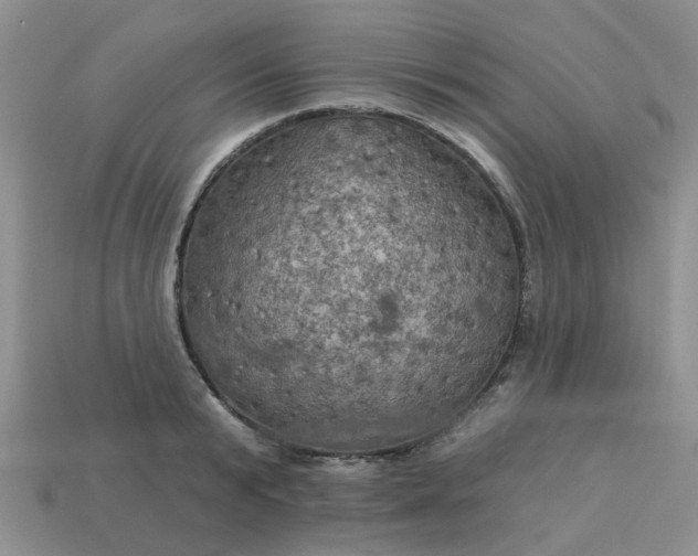 X0000113050799200909101938