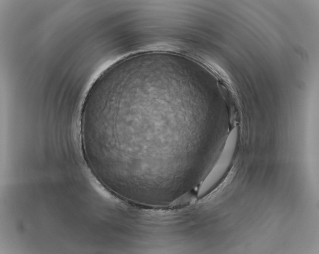 X0000113050800200909101938