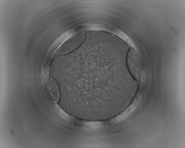 X0000113050801200909101938