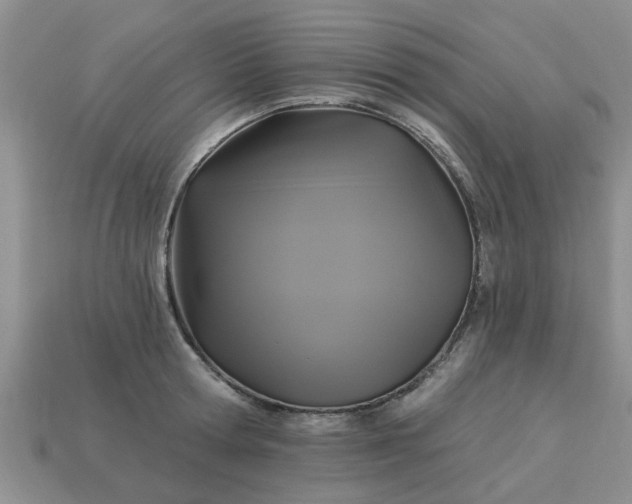 X0000113050802200909101938