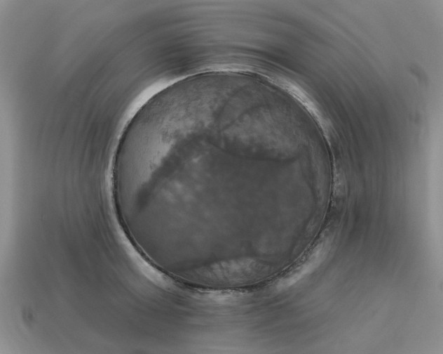 X0000113050803200909101938