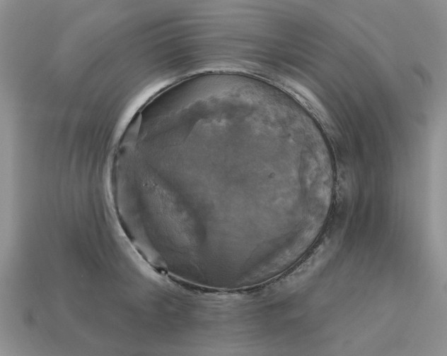 X0000113050804200909101938