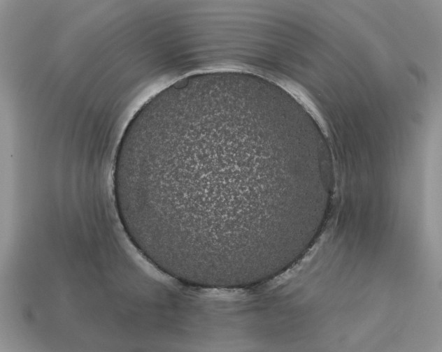 X0000113050805200909101938