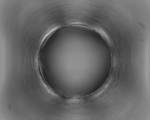 X0000113050806200909101938