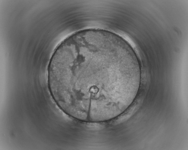 X0000113050807200909101938