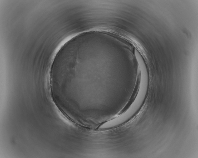 X0000113050808200909101938