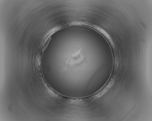 X0000113050809200909101938