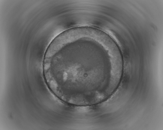 X0000113050810200909101938