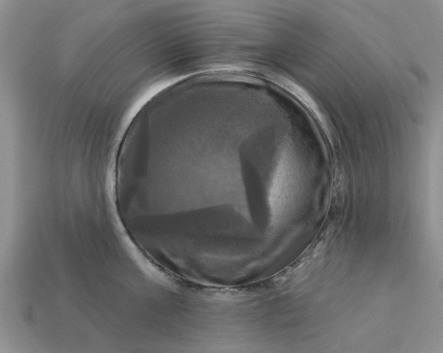 X0000113050811200909101938