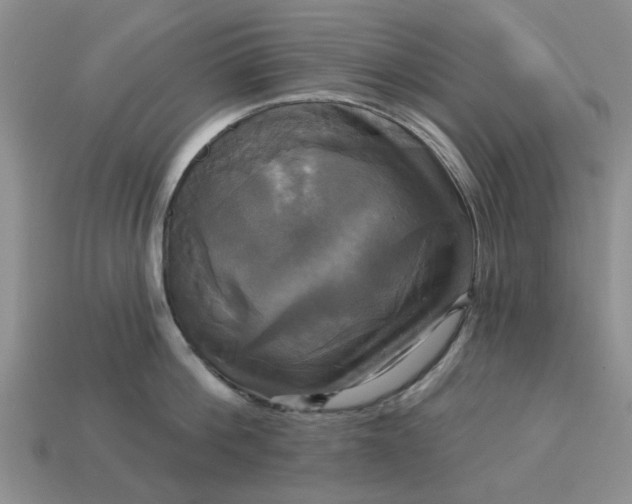 X0000113050812200909101938