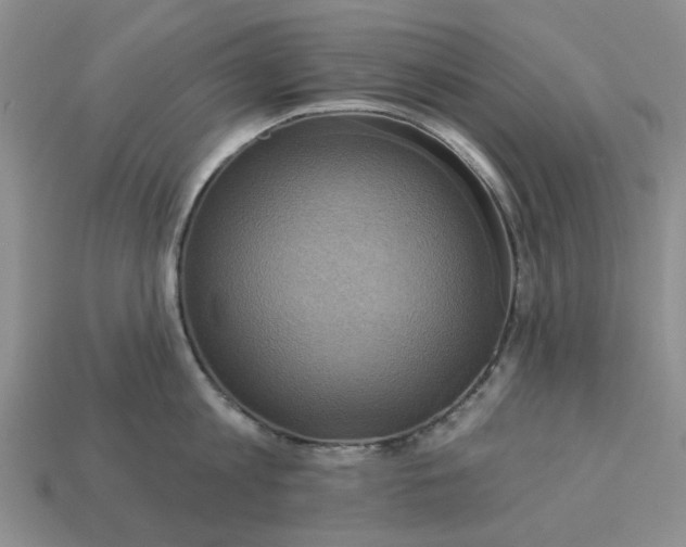 X0000113050813200909101938