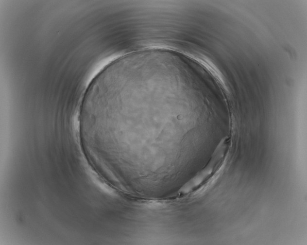 X0000113050814200909101938