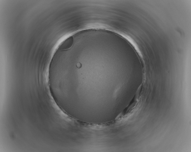 X0000113050815200909101938