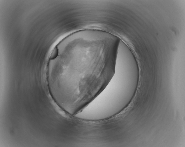 X0000113050816200909101937