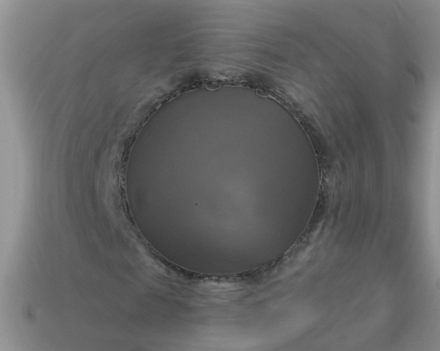 X0000113050817200909101937