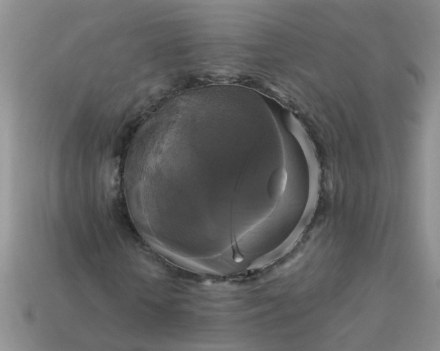 X0000113050818200909101937