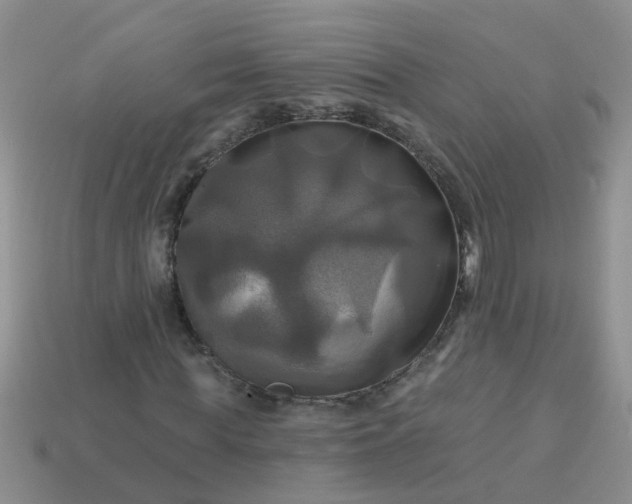 X0000113050819200909101937