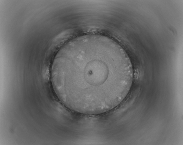 X0000113050820200909101937