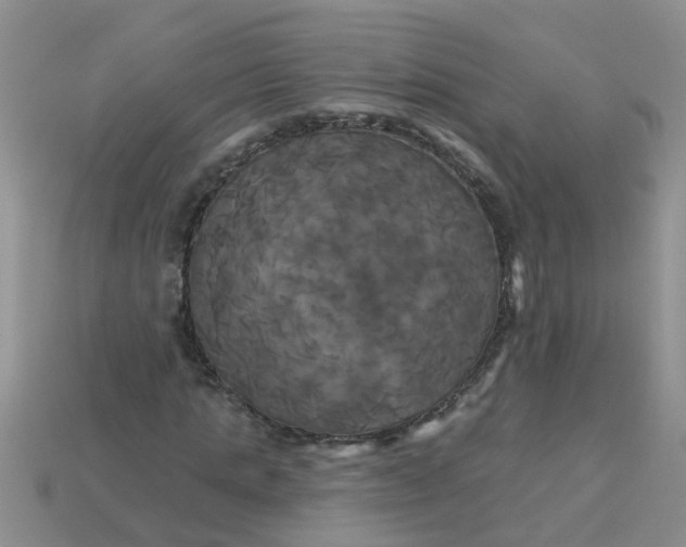 X0000113050821200909101937