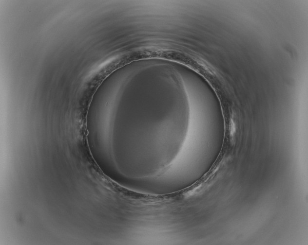 X0000113050822200909101937