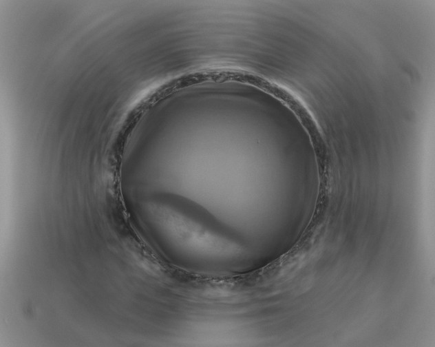 X0000113050823200909101937