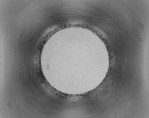 X0000113050824200909101937