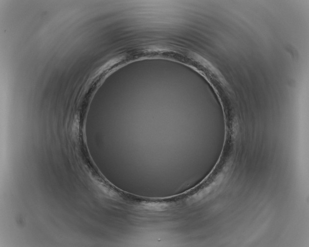 X0000113050825200909101937