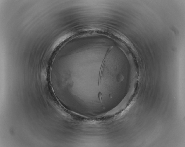 X0000113050826200909101937