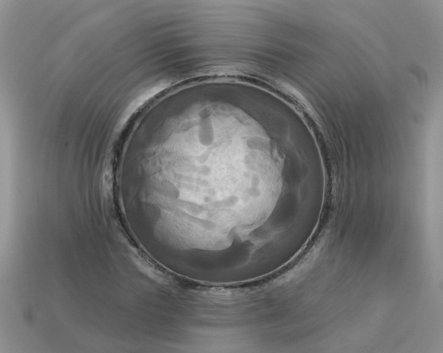 X0000113050827200909101937