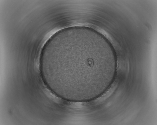 X0000113050828200909101937