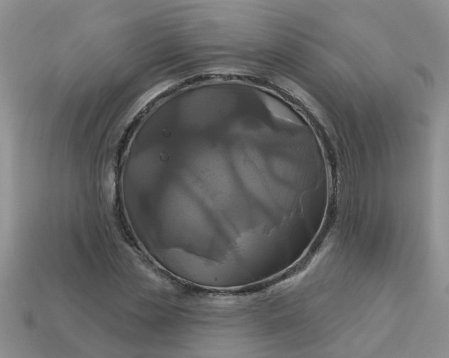 X0000113050829200909101937