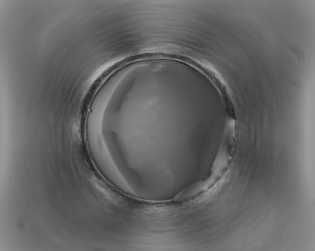 X0000113050830200909101937