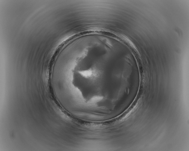 X0000113050831200909101937