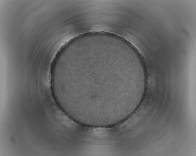 X0000113050832200909101937