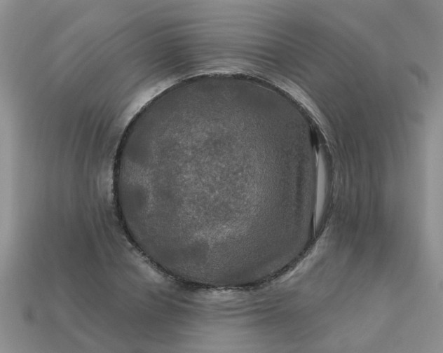 X0000113050834200909101937