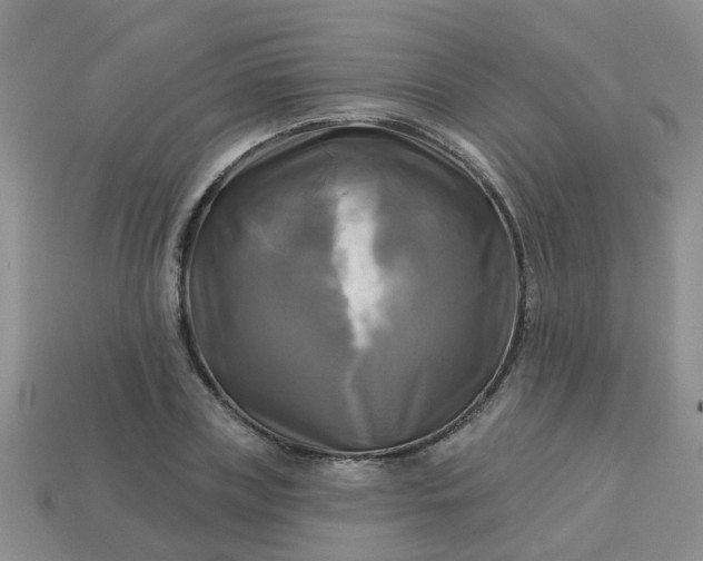 X0000113050835200909101937