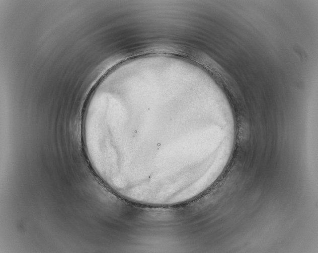 X0000113050836200909101937