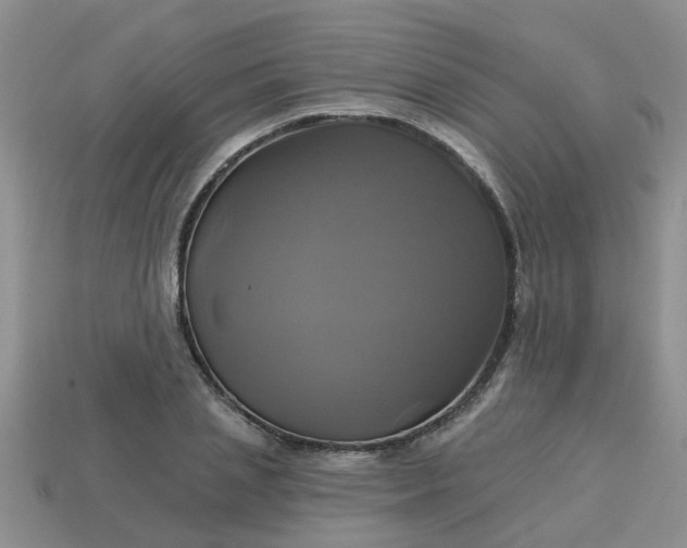 X0000113050837200909101937