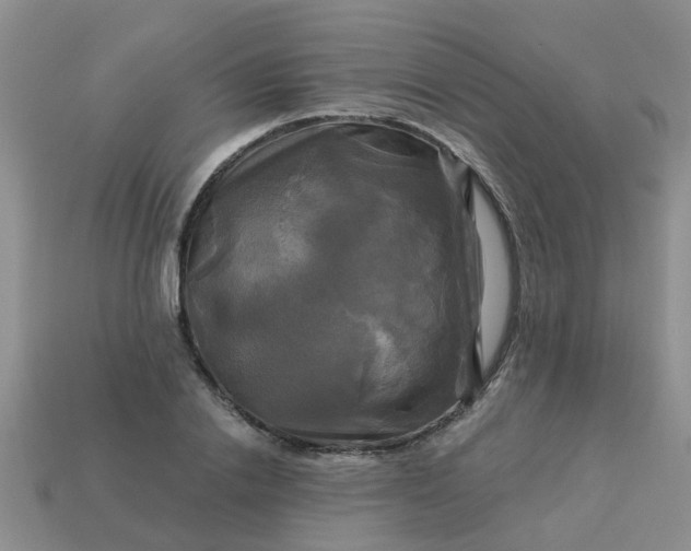 X0000113050838200909101937