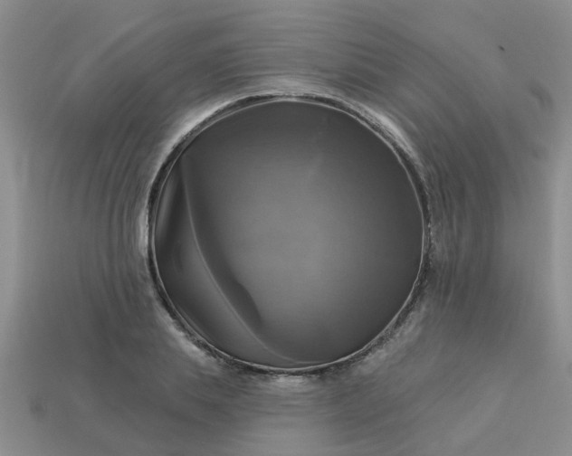 X0000113050839200909101937