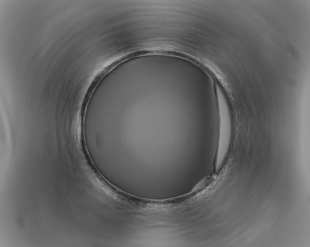 X0000113050840200909101937