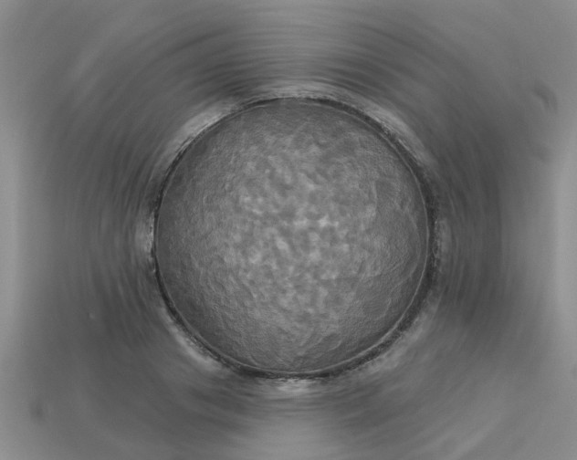 X0000113050841200909101937