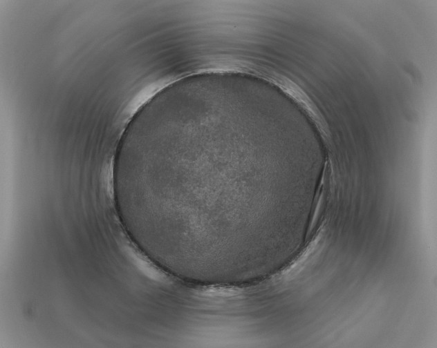 X0000113050842200909101937