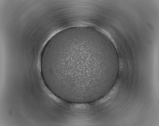 X0000113050843200909101937