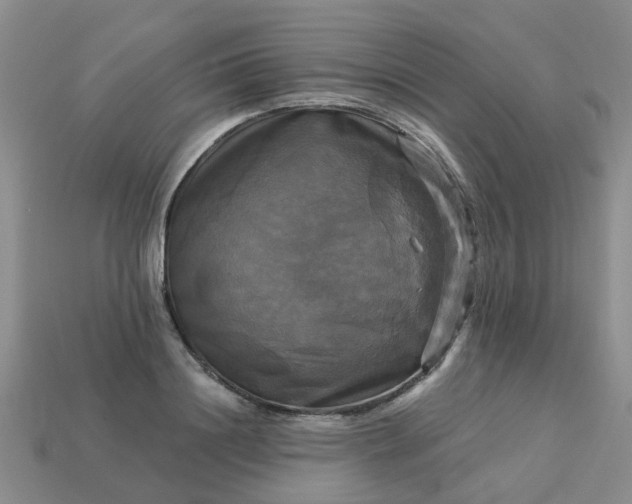 X0000113050844200909101937