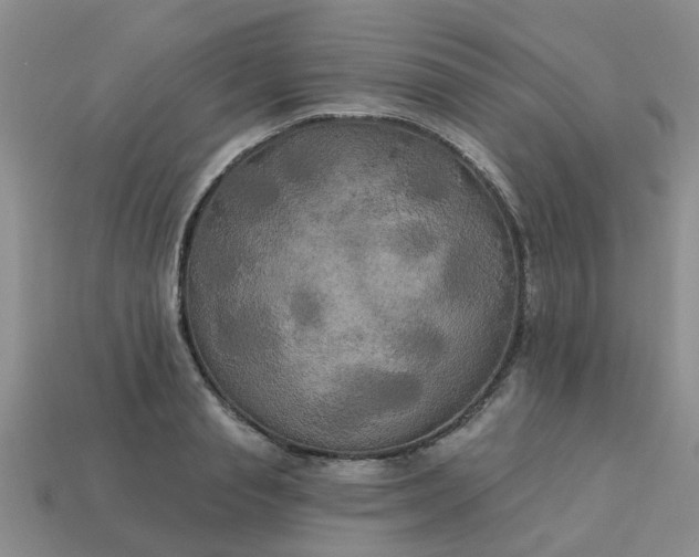 X0000113050845200909101937