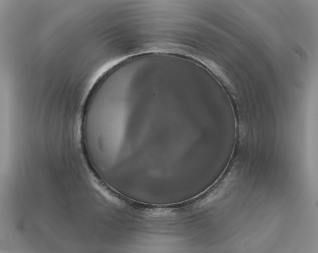 X0000113050846200909101937