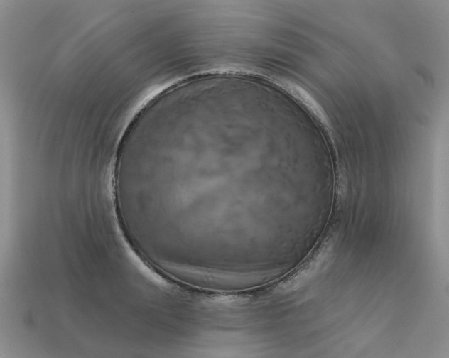 X0000113050847200909101937