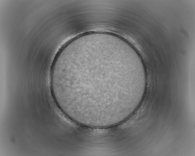 X0000113050848200909101937