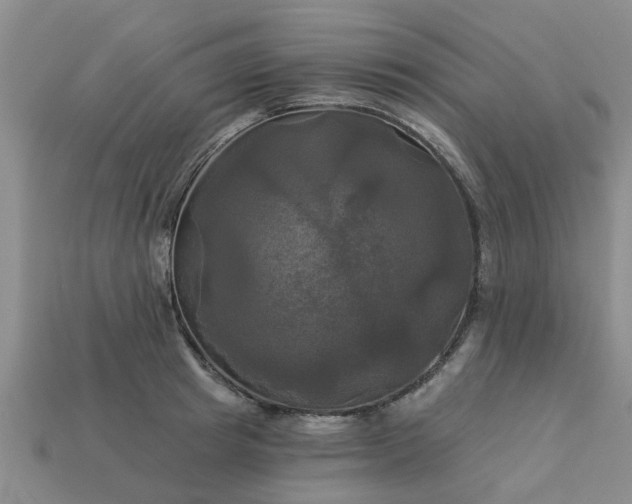 X0000113050849200909101937